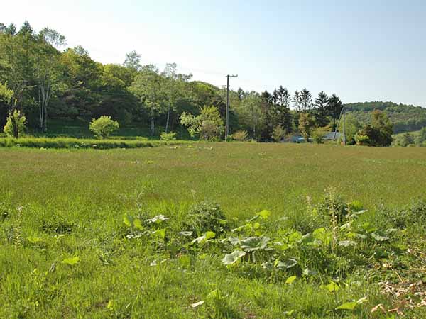 外山御料牧場 現在の風景