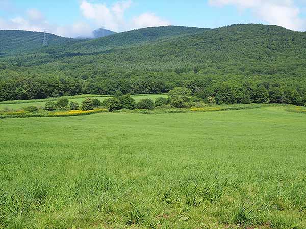 天峰山付近より牧場と姫神山