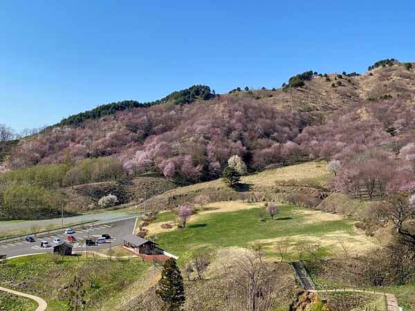 外山の秋　さくらパーク姫神