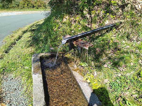 外山の秋　湧き水