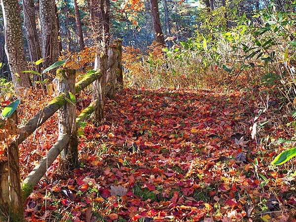 外山の秋　月影の滝と天影の滝