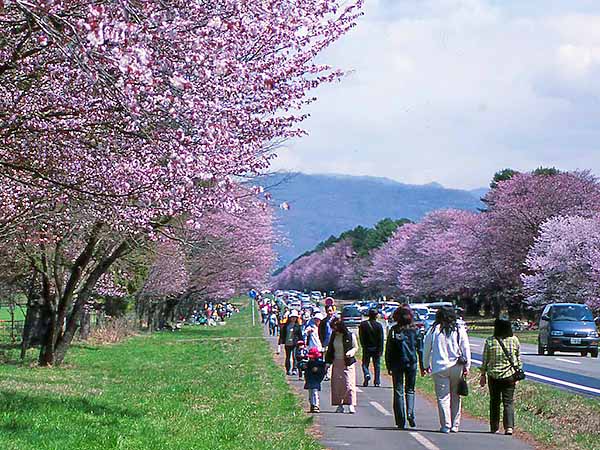 新冠御料牧場　北海道新ひだか町