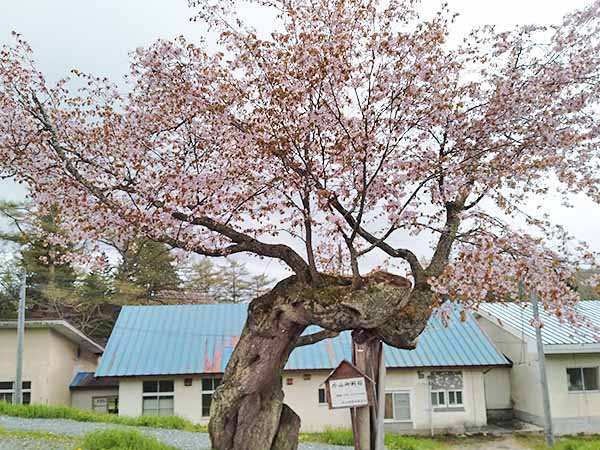 岩手県畜産試験場（外山分場）