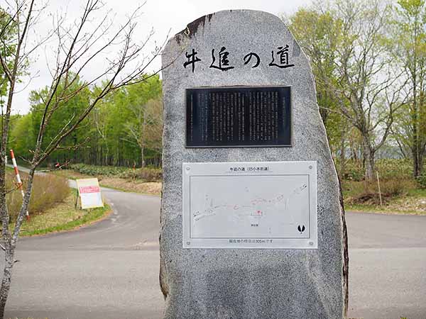 早坂高原