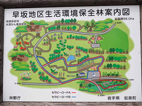 早坂高原