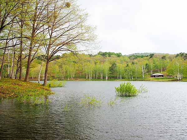 岩洞湖家族旅行村