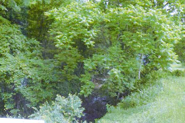 御料地と一般の土地との境界線としての意味合いを持つ外山川