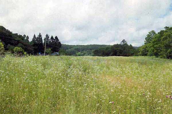 御料牧場・岩手県種畜場時代に官舎があった場所