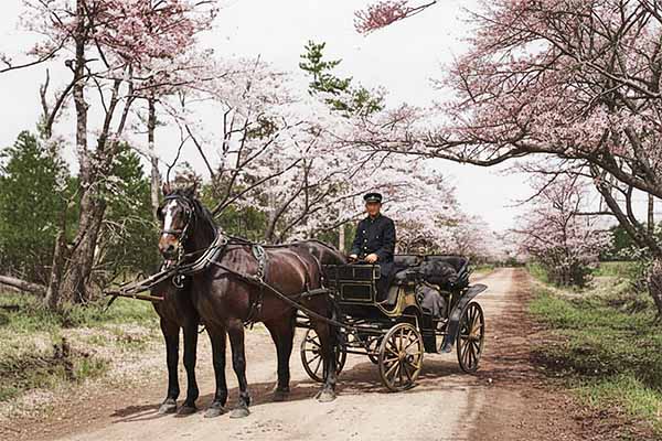 客を乗せる二頭立の馬車