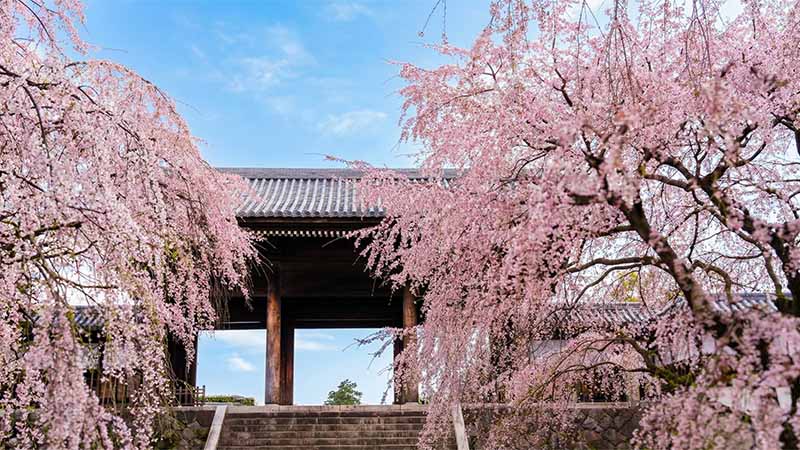 東郷寺